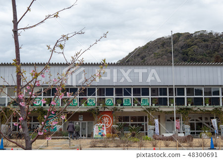 安田小學 安田小學 48300691