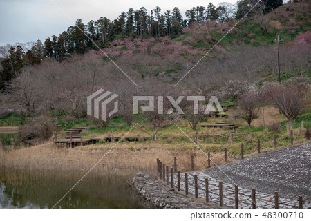 Sakuma Dam Lake Water Park Sakuma Dam Lake Water Park 48300710