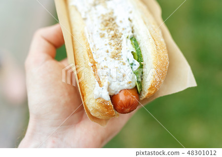 Hot dog on the background of green grass Hot dog on the background of green grass 48301012