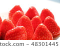 Strawberry 48301445