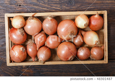 fresh rawl onions in wooden box fresh rawl onions in wooden box 48301487
