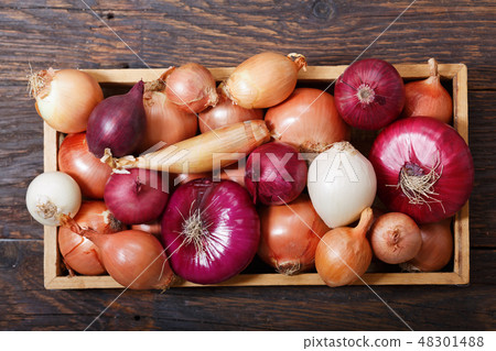 fresh colorful onions in wooden box fresh colorful onions in wooden box 48301488