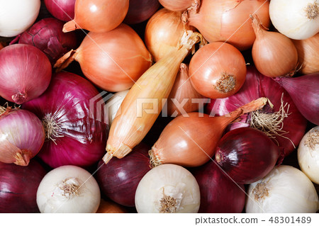 fresh colorful onions as background 48301489