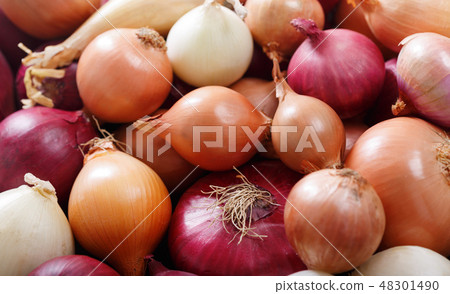 fresh colorful onions as background fresh colorful onions as background 48301490