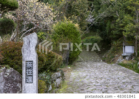 H歸來 H歸來 48301841