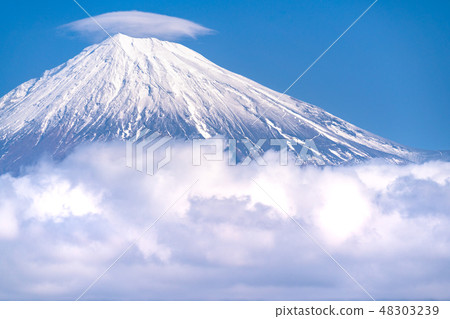 "Shizuoka prefecture" Mt. Fuji - Daiyunkai and Han 48303239