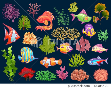 Cute kid underwater set. Aquarium baby fish and seaweed in water for children isolated vector Cute kid underwater set. Aquarium baby fish and seaweed in water for children isolated vector 48303520