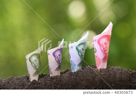 Bank notes rolled around on soil for business 48303673