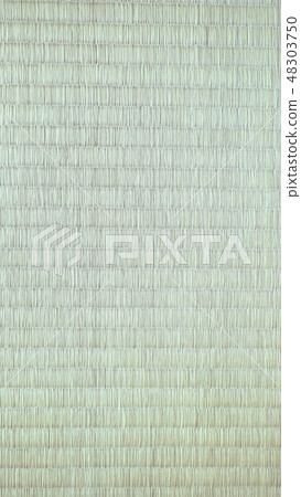 Tatami Japanese texture material Tatami Japanese texture material 48303750
