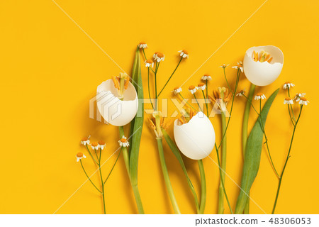 Spring Easter flowers made of eggshell on yellow 48306053
