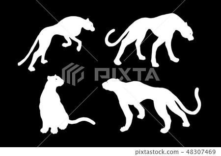 Drawn jaguar, leopard, wild cat, panther silhouettes Drawn jaguar, leopard, wild cat, panther silhouettes 48307469