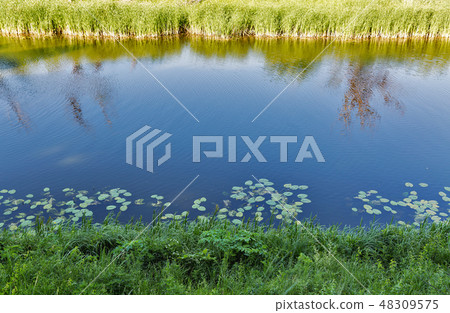 River Ros summer landscape, Ukraine River Ros summer landscape, Ukraine 48309575