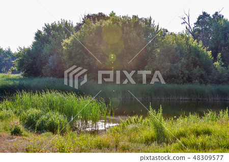 River Ros summer landscape, Ukraine River Ros summer landscape, Ukraine 48309577