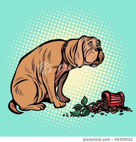 Bad dog broke a potted houseplant Bad dog broke a potted houseplant 48309582