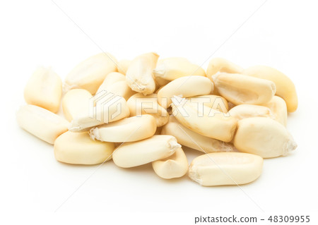 Chulpe Corn Tostard Pop Dent Corn Chulpe Tostado 48309955