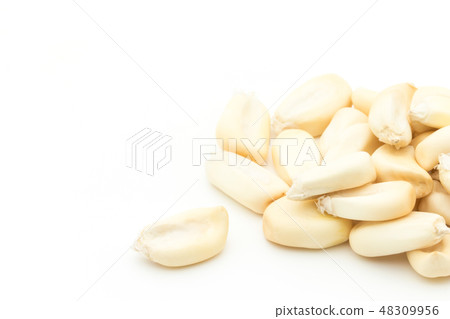 Chulpe Corn Tostard Pop Dent Corn Chulpe Tostado 48309956