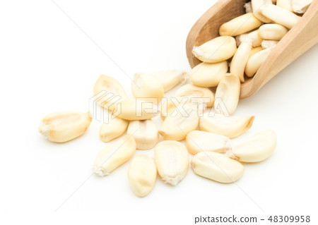 Chulpe Corn Tostard Pop Dent Corn Chulpe Tostado 48309958