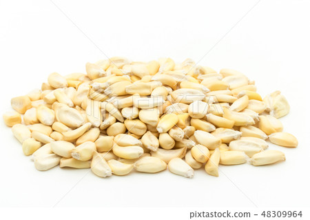 Chulpe Corn Tostard Pop Dent Corn Chulpe Tostado Chulpe Corn Tostard Pop Dent Corn Chulpe Tostado 48309964
