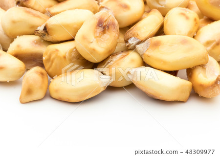 Chulpe玉米Tostard流行凹痕玉米Chulpe Tostado Chulpe玉米Tostard流行凹痕玉米Chulpe Tostado 48309977