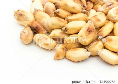 Chulpe玉米Tostard流行凹痕玉米Chulpe Tostado 48309978