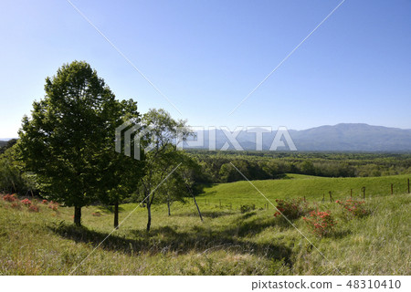 Asama Farm Asama Farm 48310410