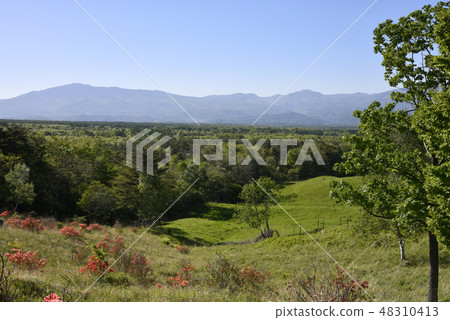 Asama Farm Asama Farm 48310413