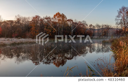 Autumn landscape of early foggy morning Autumn landscape of early foggy morning 48310460