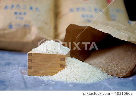 日本美味的米飯 日本美味的米飯 48310662