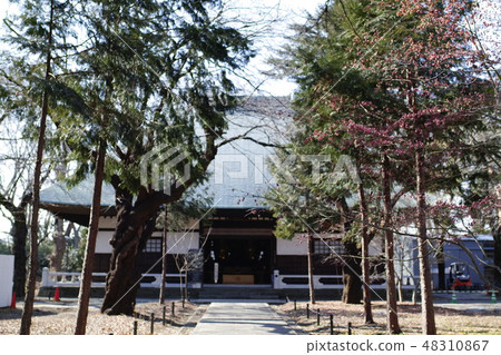 Kijutsu佛/法官神社 48310867