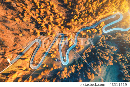 Aerial view of winding road in autumn forest  48311319