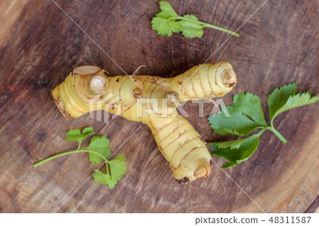 galanga with Celery leaf galanga with Celery leaf 48311587