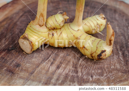 Galanga on wooden background Galanga on wooden background 48311588