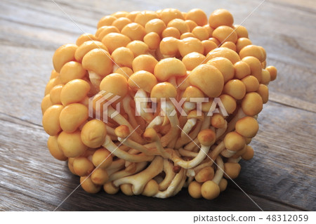 Namiko "String Tomari Nomiko" 48312059