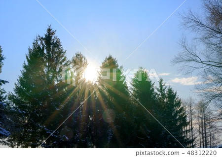 Light rays spreading in iridescent Light rays spreading in iridescent 48312220