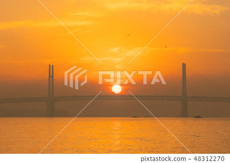 升天升到橫濱灣大橋的中心 48312270