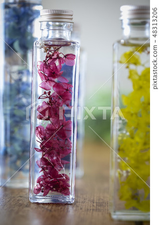 植物標本室 48313206