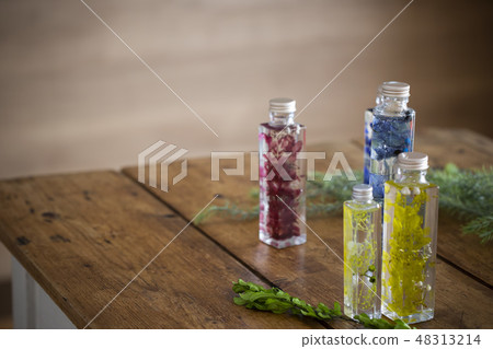 Herbarium 48313214