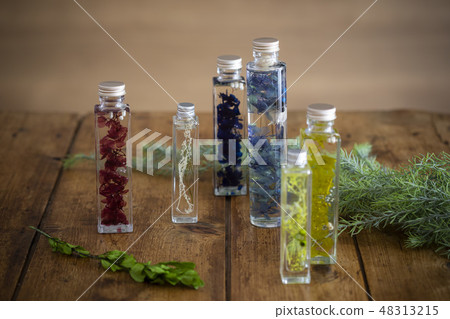 Herbarium 48313215