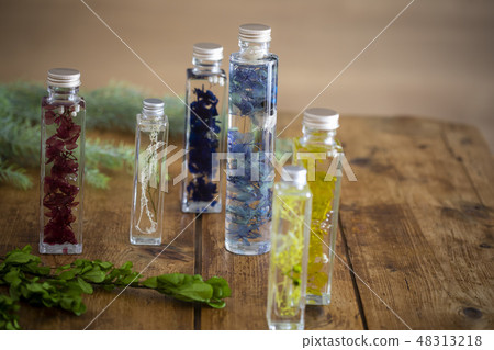 植物標本室 48313218