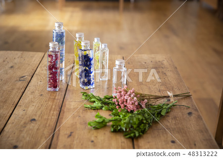 植物標本室 48313222