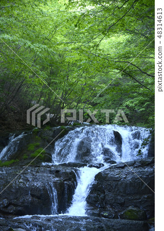 Fish stopper waterfall 48314613