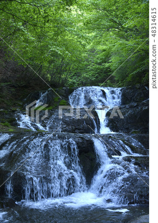 Fish stopper waterfall 48314615