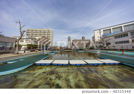 水上運動(水平德川河水上樂園) 水上運動(水平德川河水上樂園) 48315348