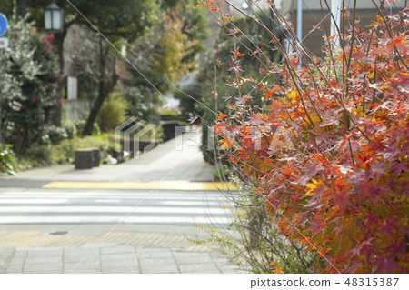 Upper Koiwa hydrophilic green road Upper Koiwa hydrophilic green road 48315387