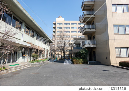 東京海洋大學Echinoshima校區 東京海洋大學Echinoshima校區 48315816