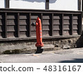 Old fire hydrant 48316167