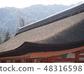 Old roof 48316598