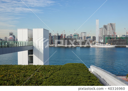 豐洲市場屋頂綠化廣場 48316960