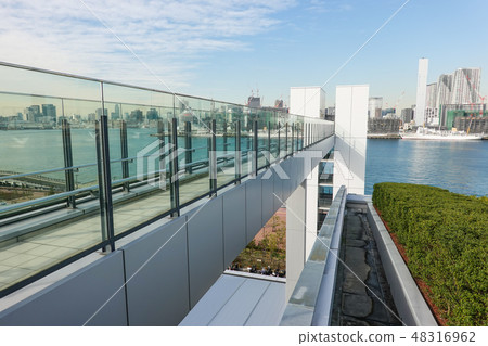 豐洲市場屋頂綠化廣場 48316962