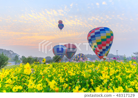hot air balloons flying over Flower field  48317129